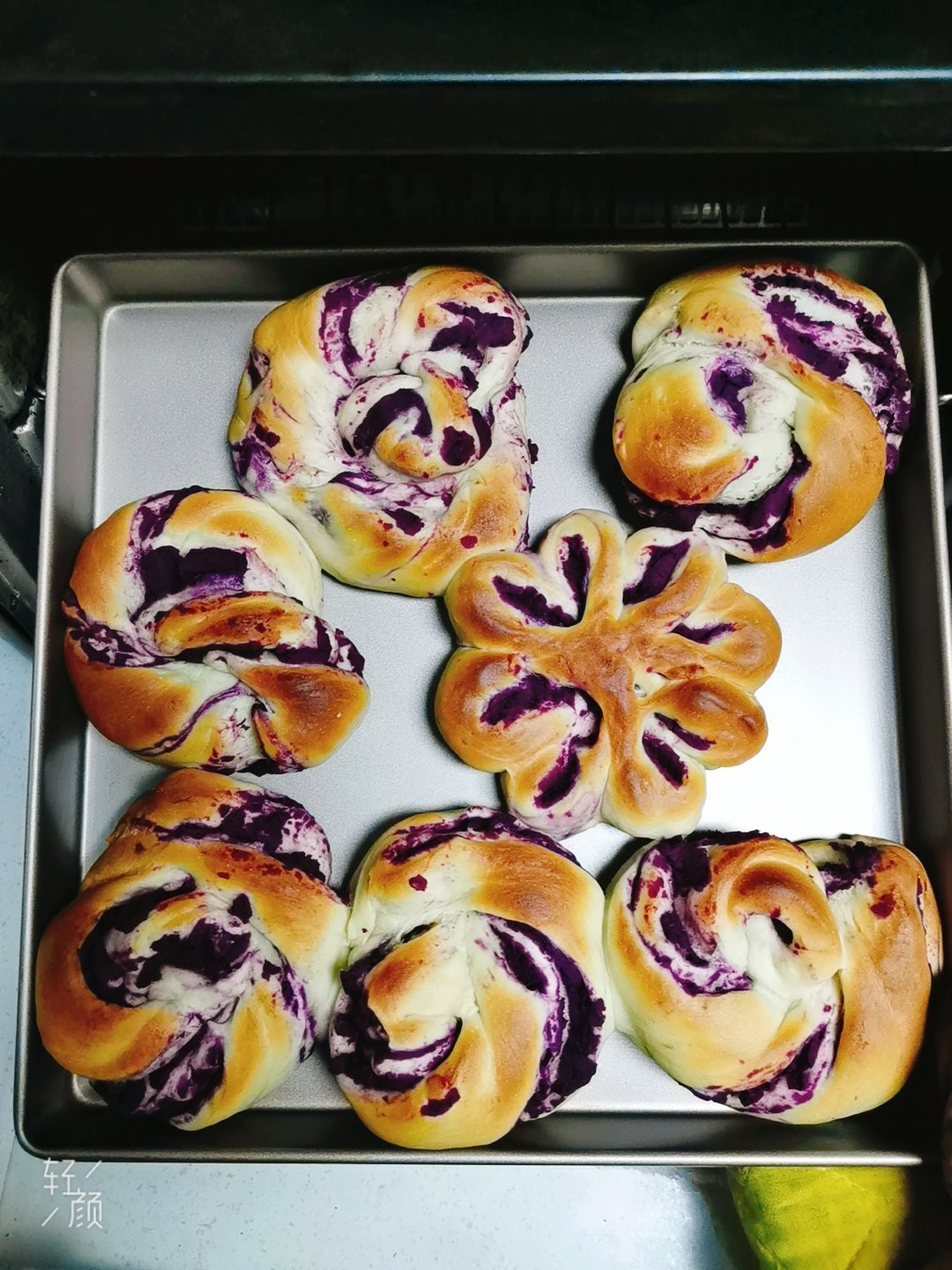 紫薯面包(波兰种)