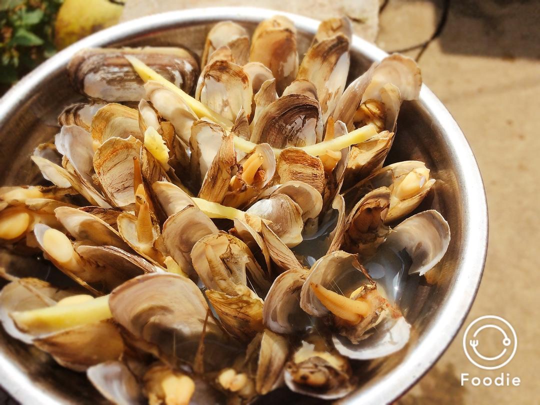 原汁原味的插蛏（蛏子）