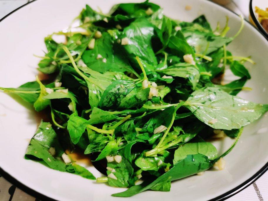 三月133做的凉拌荆芥