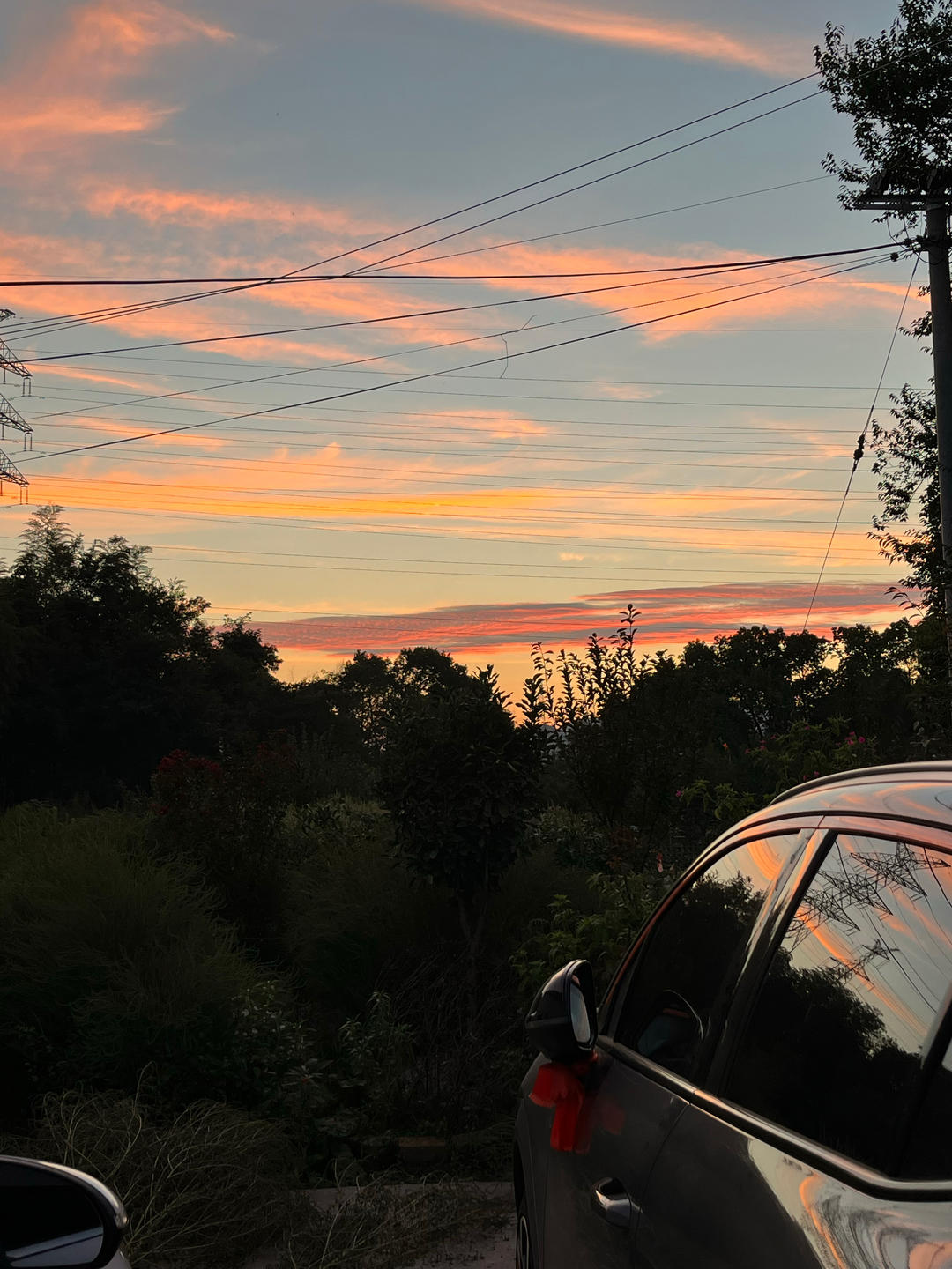 爱咬吸管的pink婷