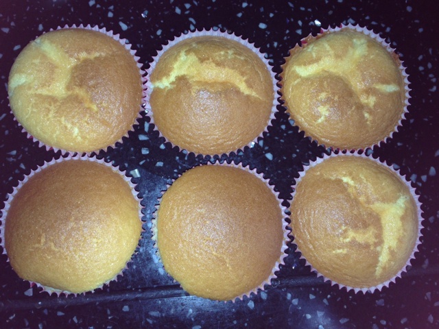 超润海绵蛋糕（无油版）