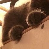 想吃的话就快去吃啊hhh