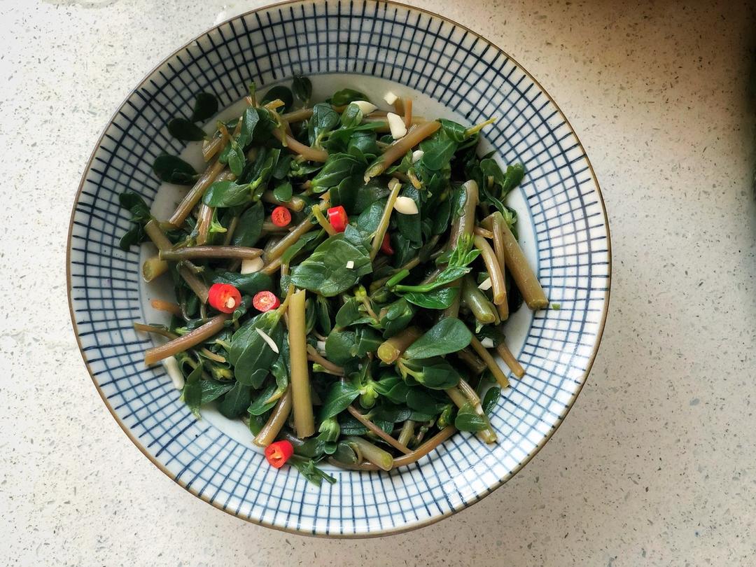 凉拌马马菜（凉拌马齿苋）