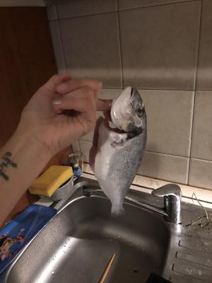 红烧鲷鱼的做法 步骤2