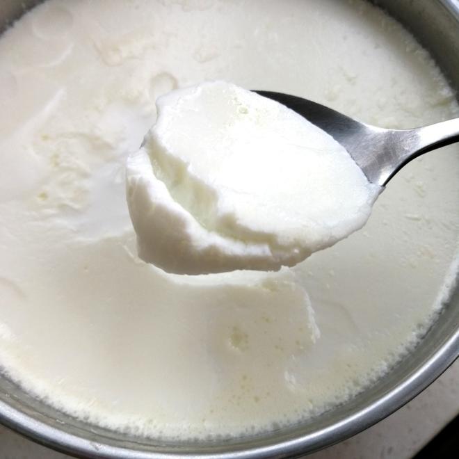 微糖浓稠酸奶的做法