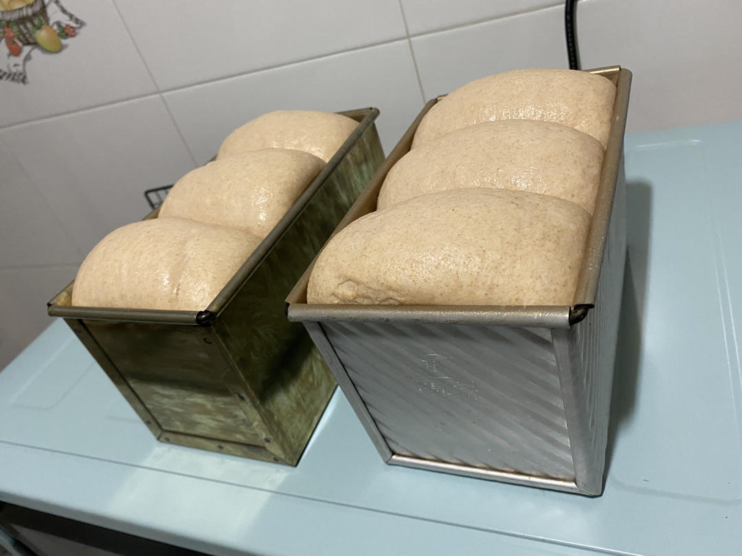 流泪吐司 & 40%全麦吐司