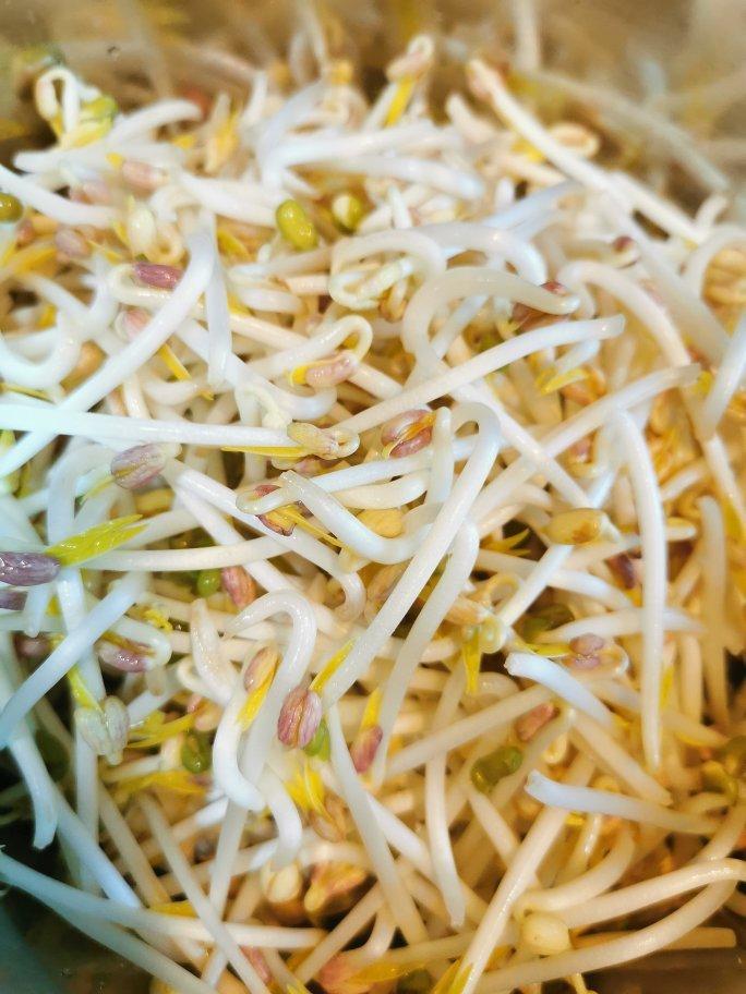跟“我跟家常”学泡豆芽