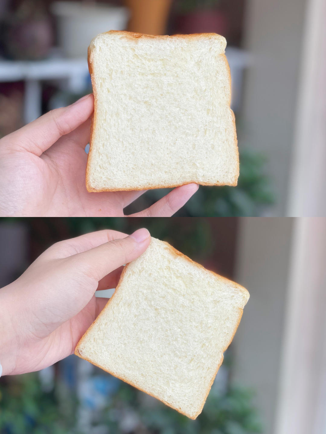 好吃到犯规的网红「生吐司」