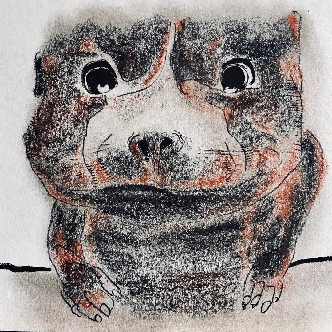 多多叫拉拉