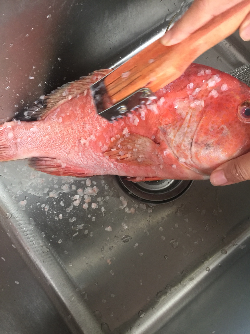 红瓜子斑鱼（深海鱼）的做法 步骤1