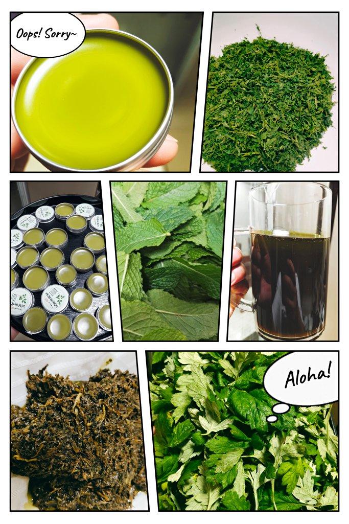 薄荷艾草膏，夏季驱蚊神器o