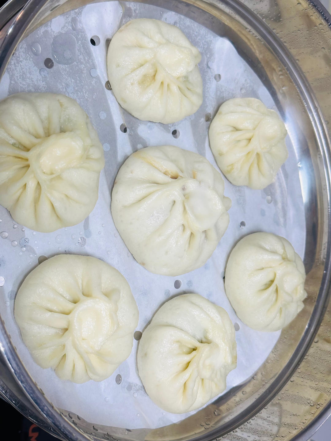 一次发酵肉包子