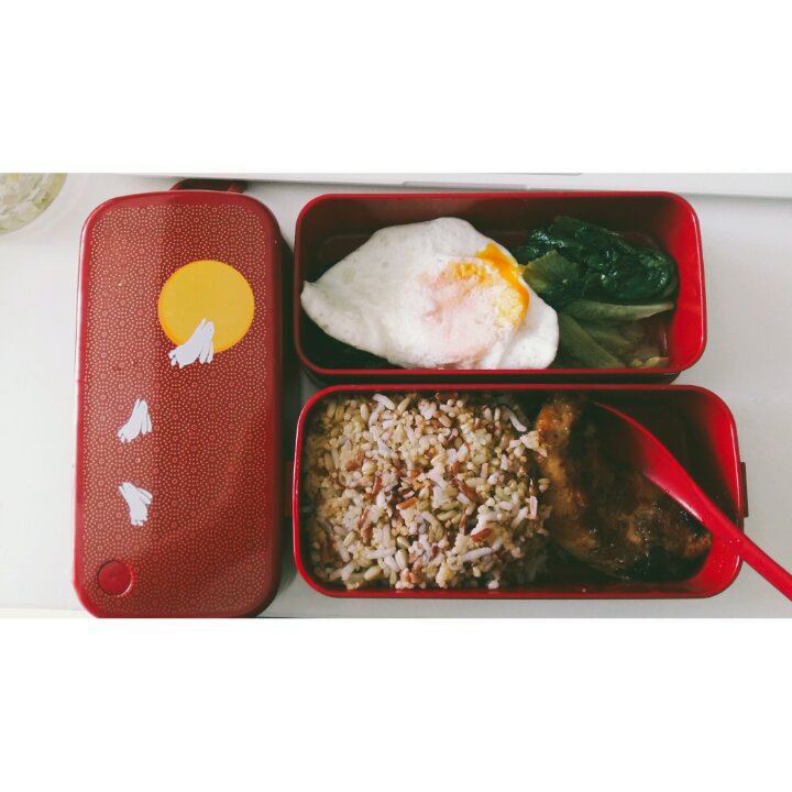 上班族的午餐便当