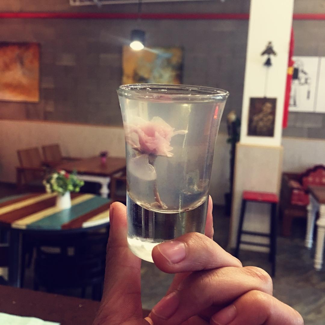 樱花布丁