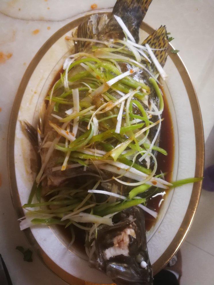 清蒸桂鱼