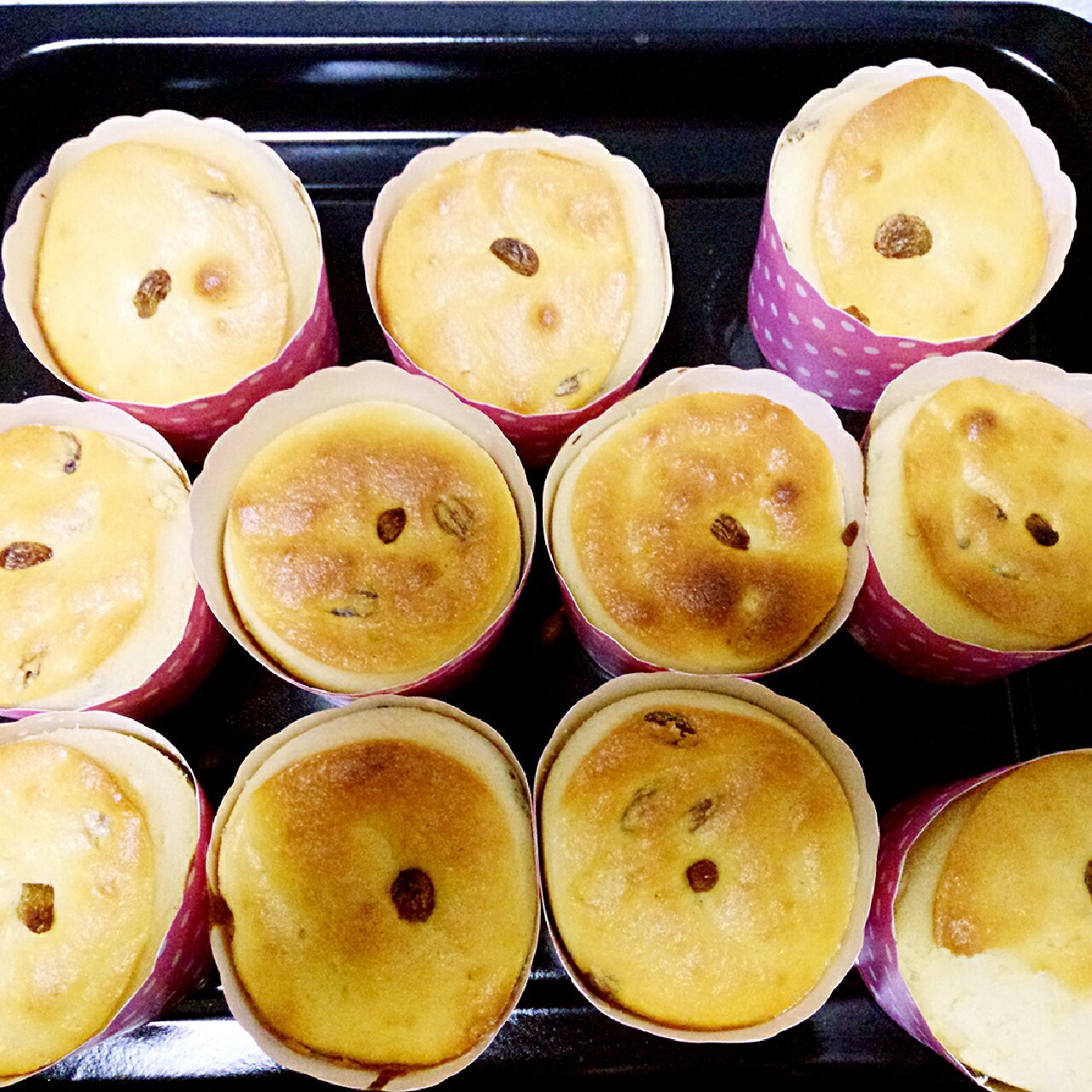 0失败的葡萄干麦芬