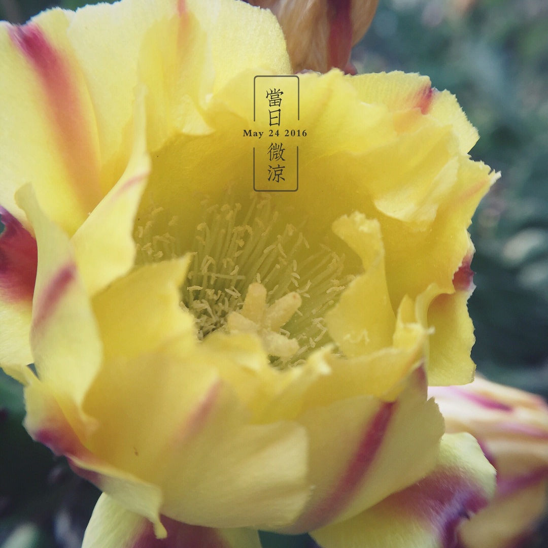 手机用户0018_umwq