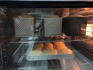 椰蓉小面包的做法 步骤6
