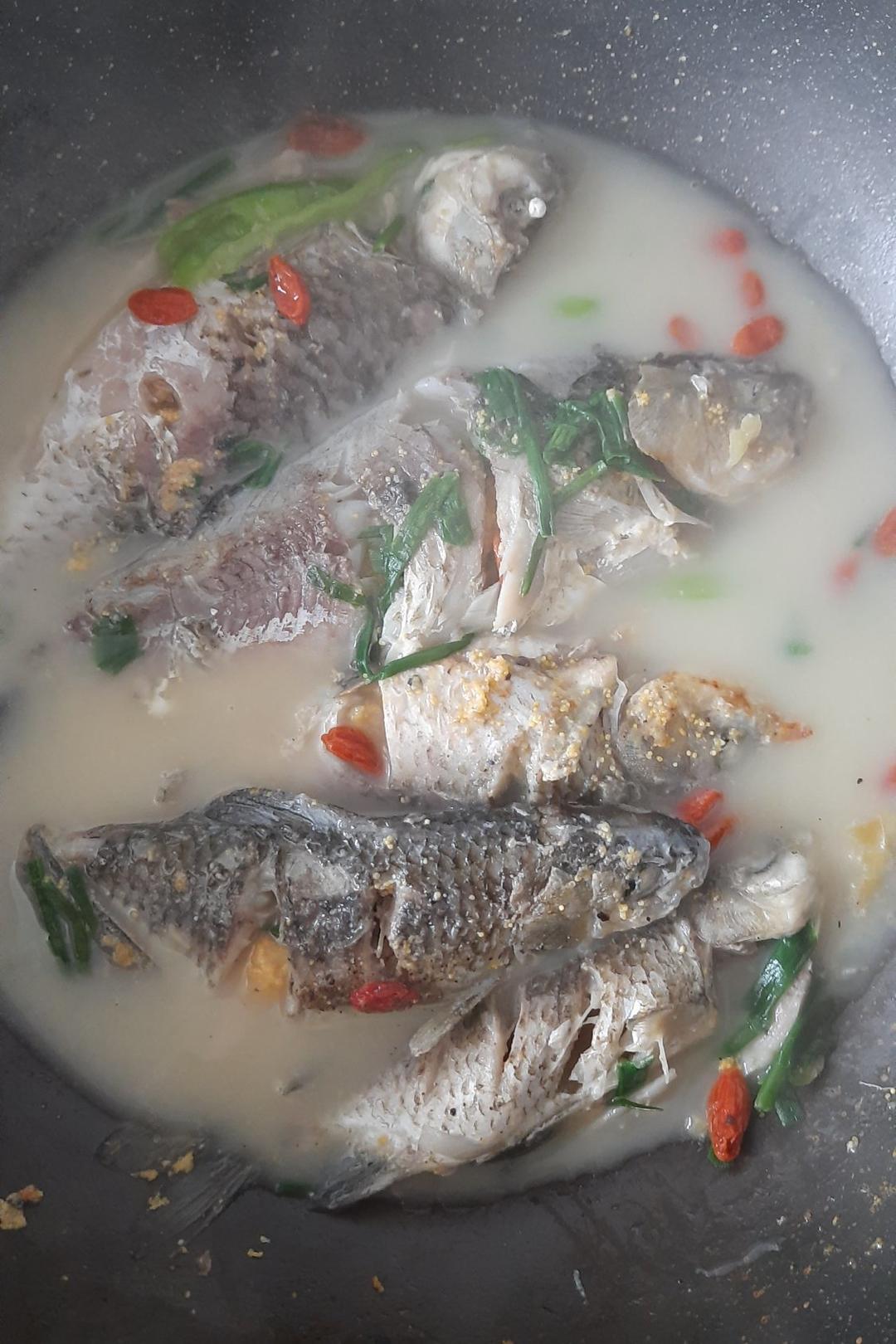 奶白鱼汤