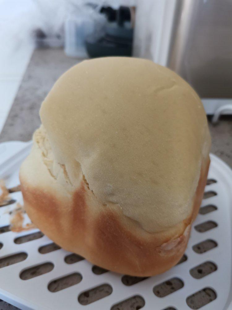 东菱面包机做面包