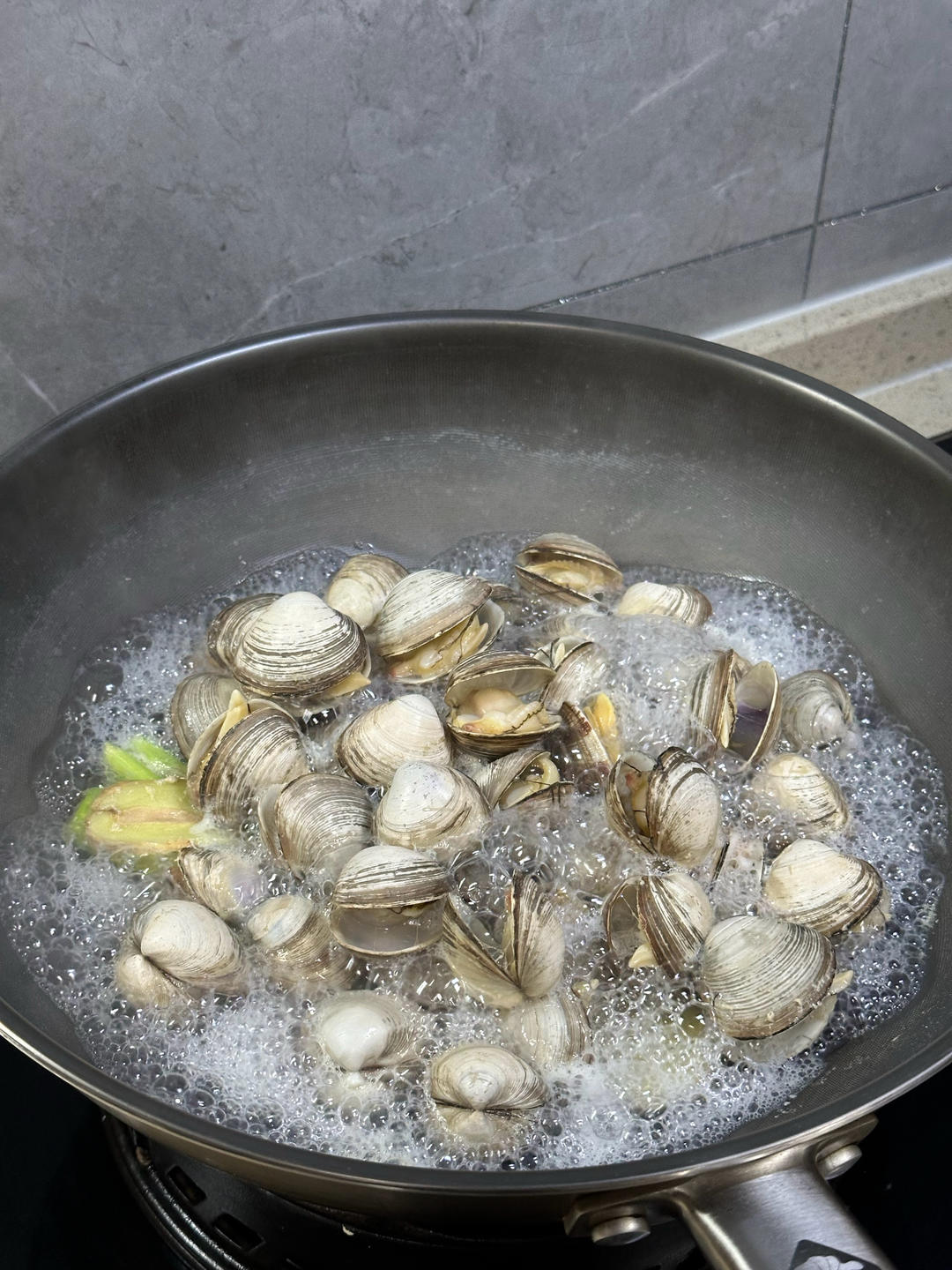 鲜到不行！清煮白蚬子 无需加水 只需两分钟