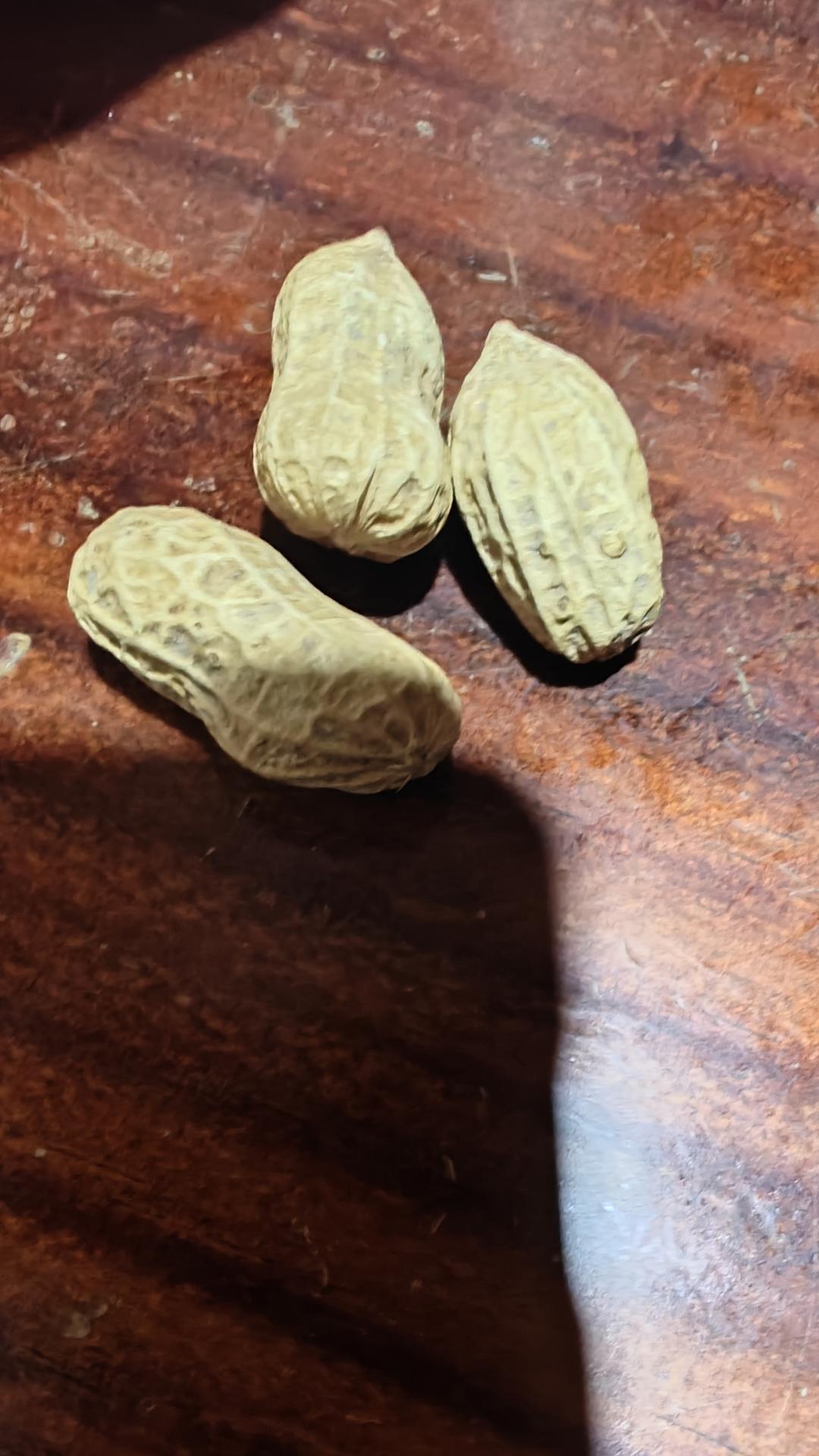 二伯水煮花生