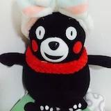 一只胆大妄为的黑暗新秀