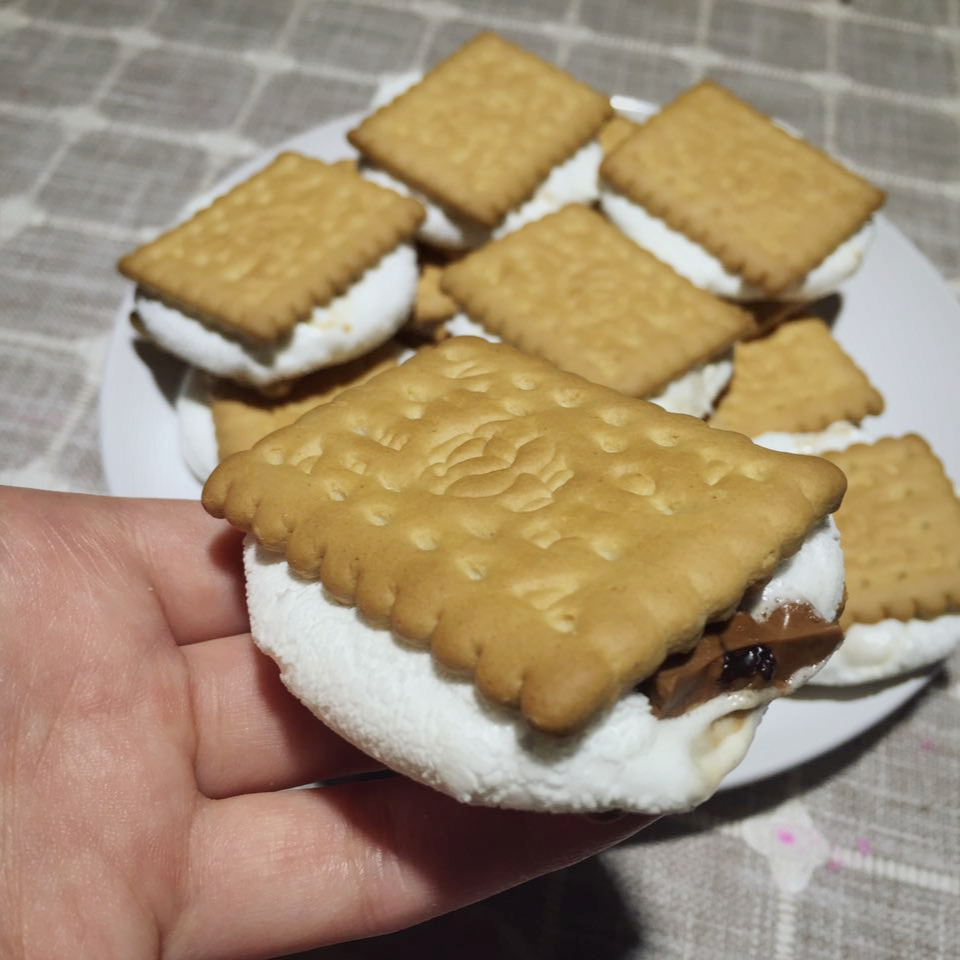 S'more 苏打饼夹烤棉花糖