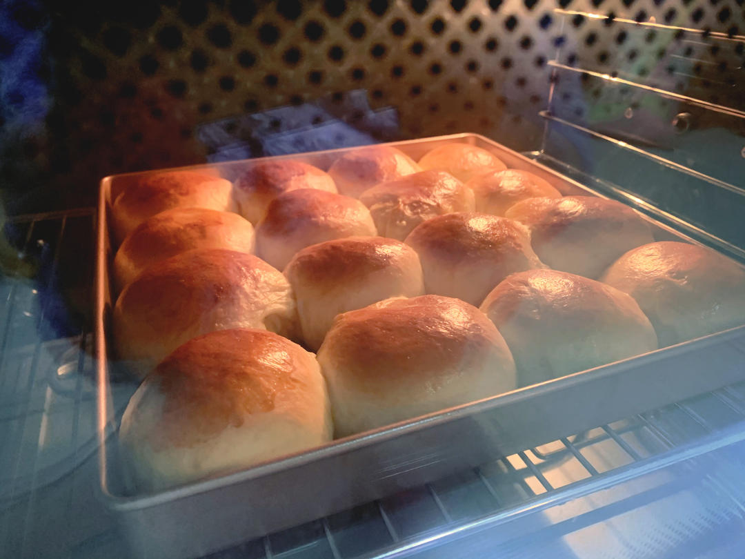 鲜奶油小餐包（一次发酵）