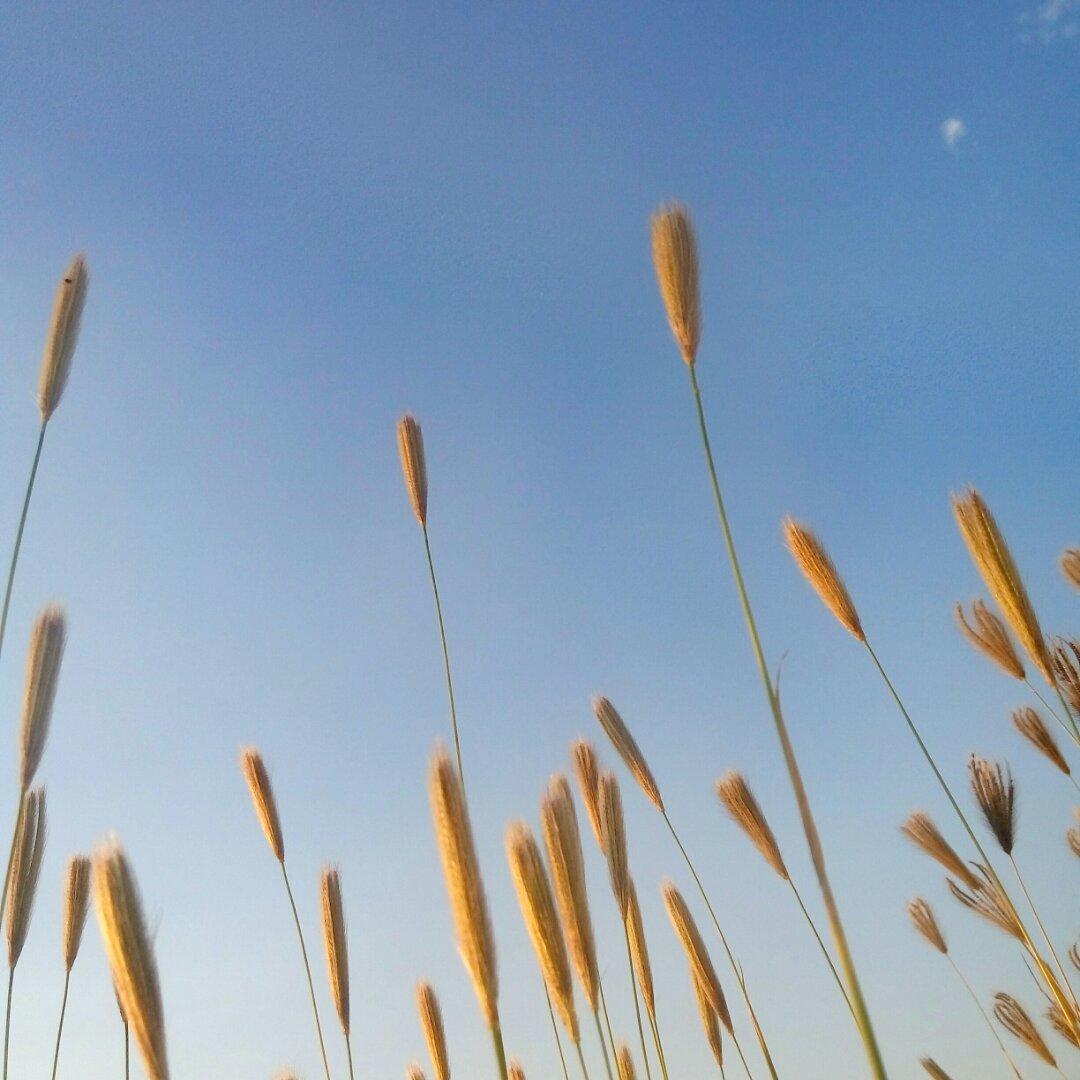 手机用户3286_syhg