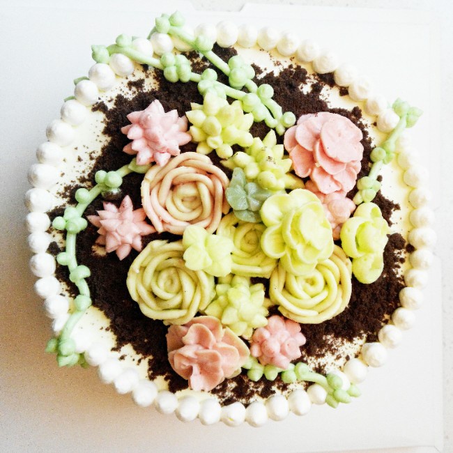 多肉植物仙人球杯子蛋糕（抹茶草莓可可cupcake）