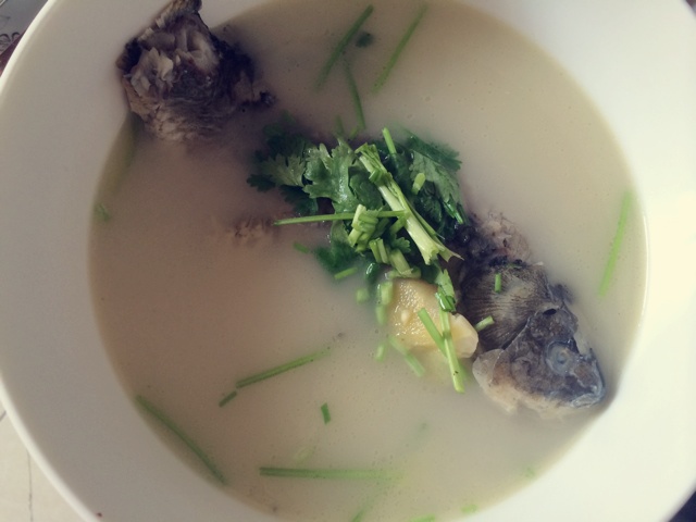 奶白鲫鱼汤