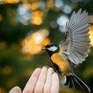 手机用户2608_i4ma