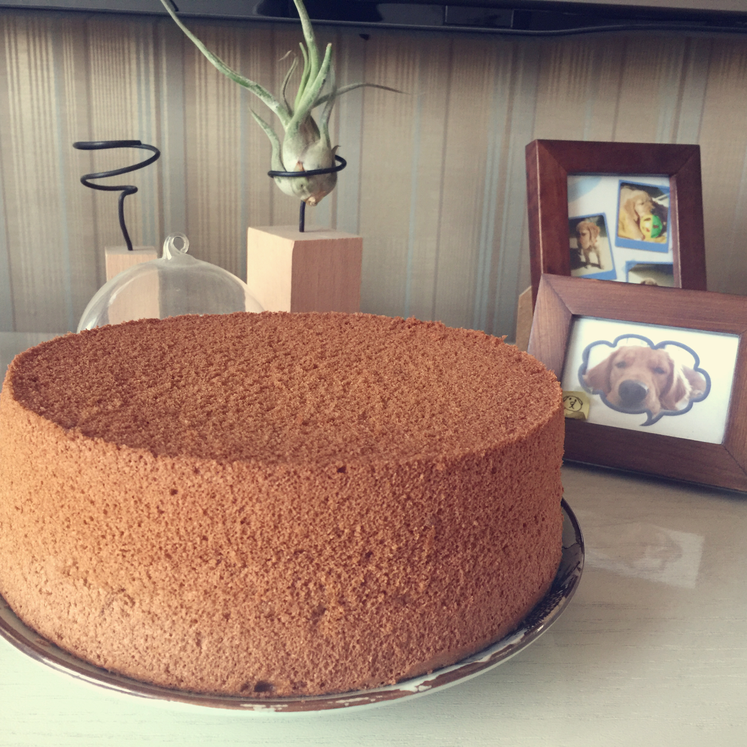 戚风蛋糕完美脱模+切片