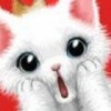 吃货小萌猫_mpk1