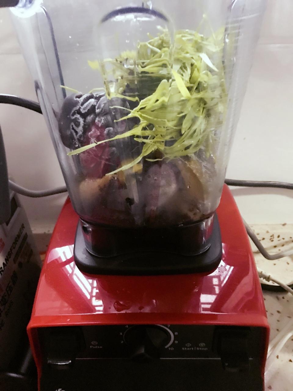 Vitamix 5300 记录