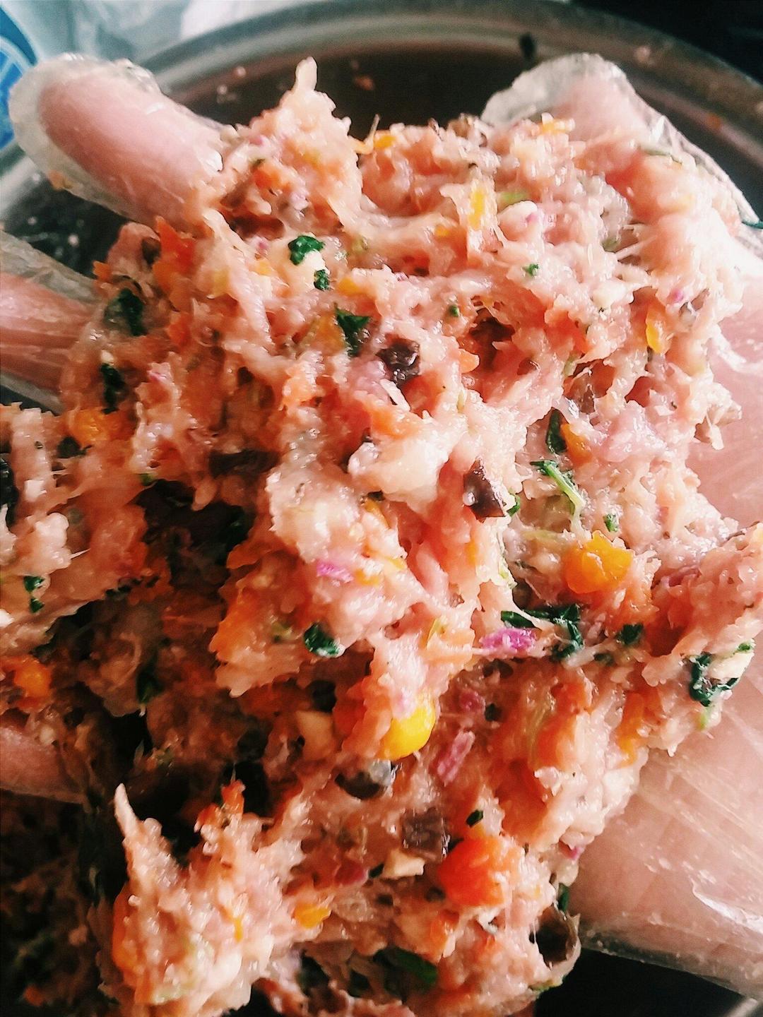 高龄肥胖症狗狗的减肥料理（无谷）