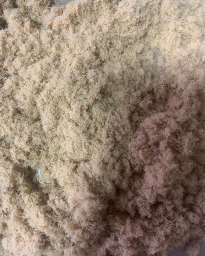 【原味肉松】美味蓬松（小美版）