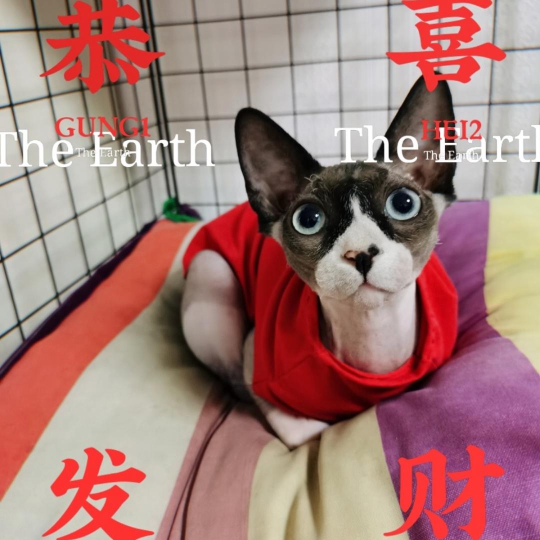 MingDI