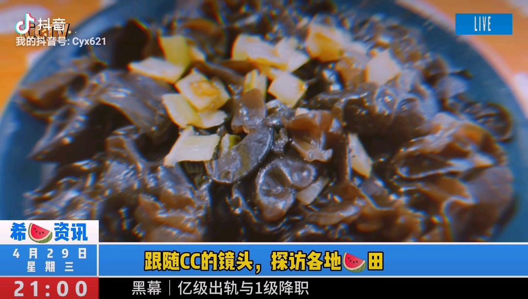 吃瓜季节~丝瓜炒肉