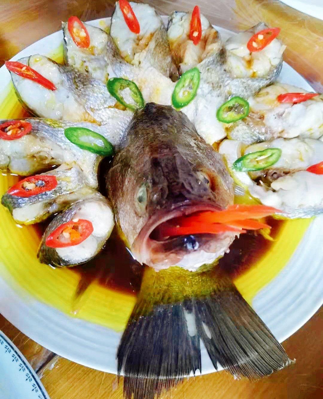 大富大贵开屏鱼