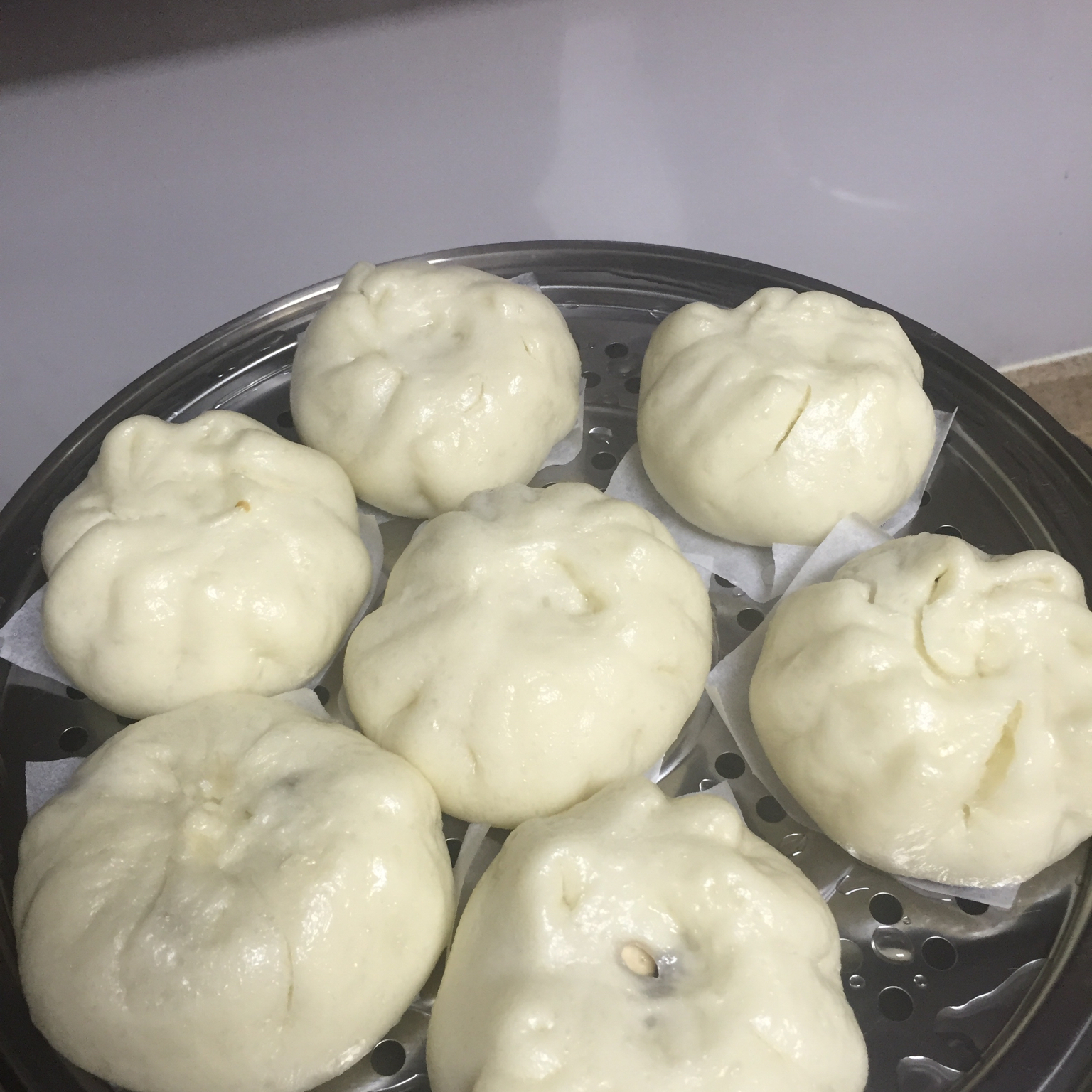家庭手工肉馅大包子