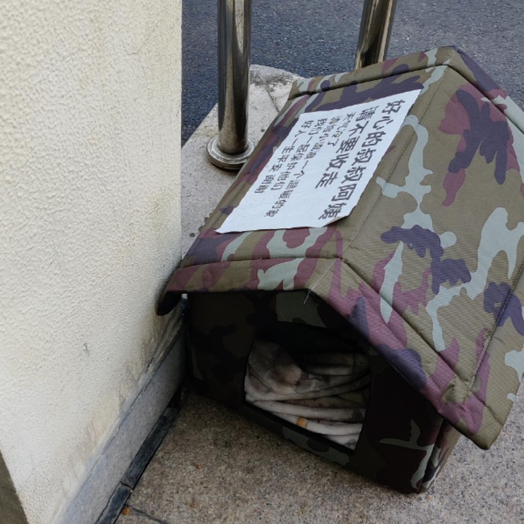 下厨房用户_768a
