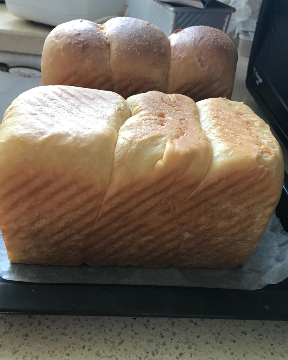 玉米油版一次性发酵吐司