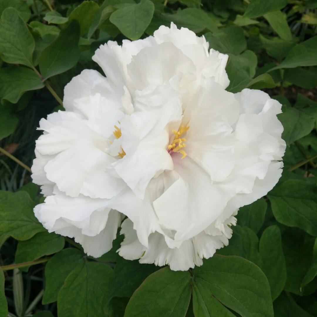 头疼没昵称