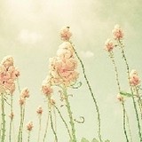 雨奇雾