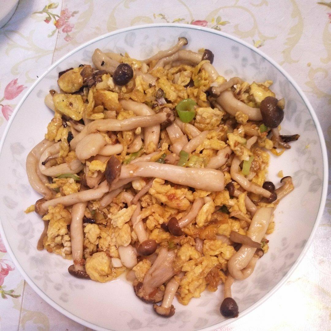 海鲜菇炒鸡蛋