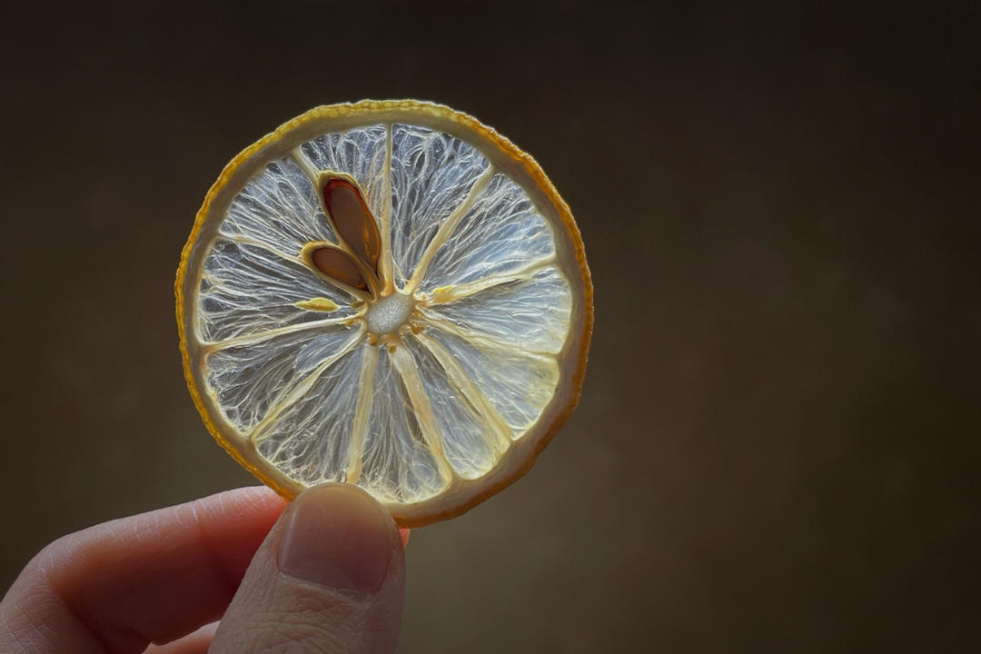 自制简易放心橙子柠檬片