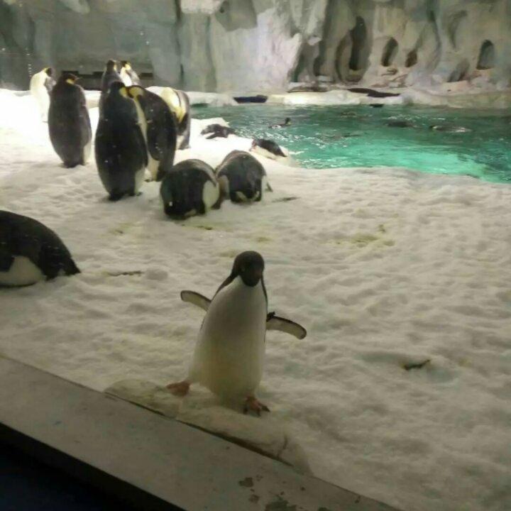 手机用户7595_8tc5