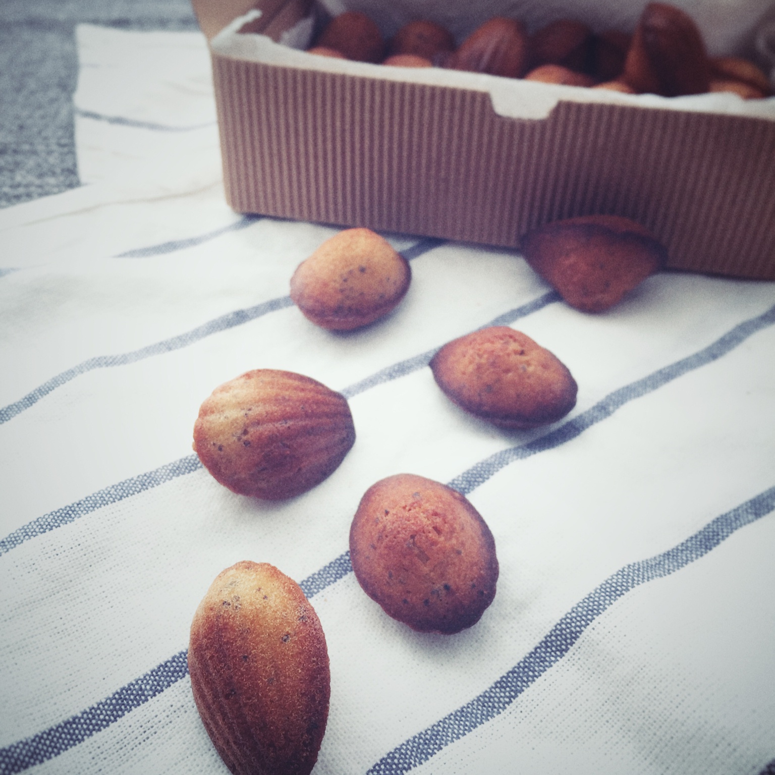 伯爵柠香玛德琳